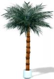Umělá rostlina / květina - Palma Areca 250-300cm