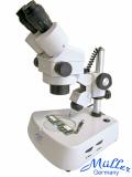 Stereo mikroskop Mueller zoom researcher  7-225x