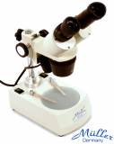 Stereo mikroskop Muller MTX 3-c  LED  (20-80x)