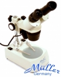 Stereo mikroskop Muller MTX 5-c  LED (10-100x)