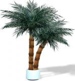 Umělá rostlina / květina - Palma Areca 200-250cm dvojče