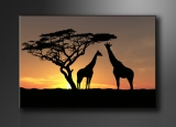 Dekorační obraz 80x60cm - 1 díl - 4034 - Afrika