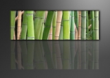 Dekorační obraz 120x40cm - 1 díl - 5705 - Bambus