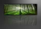 Dekorační obraz 120x40cm - 1 díl - 5706 - les
