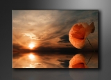 Dekorační obraz 120x80cm - 1 díl - 5022 - Západ slunce
