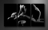 Dekorační obraz 160x90cm - 3 díly - 1019 - Erotic