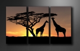 Dekorační obraz 160x90cm - 3 díly - 1034 - Afrika