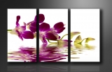 Dekorační obraz 160x90cm - 3 díly - 1132 - Orchidej