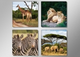 Dekorační obraz 4x30x30cm - 6606 - Afrika