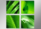 Dekorační obraz 4x30x30cm - 6601 - Listy zelené