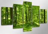 Dekorační obraz 160x80cm - 5 dílů - 5507 - les