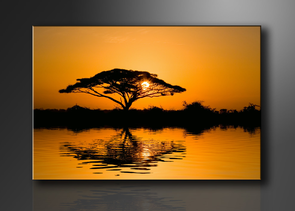 Dekorační obraz 120x80cm - 1 díl - 5116 - Afrika